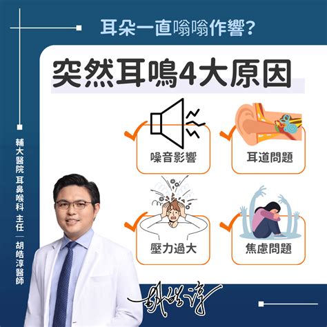 右耳 耳鳴|耳鳴怎麼辦？耳鼻喉科醫師解析原因、治療、解決方法